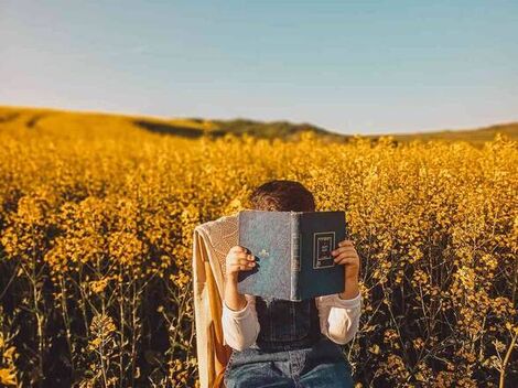 湖南大学申请学位条件