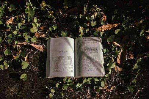 怎样报读对外经济贸易大学商务英语专业在职研究生