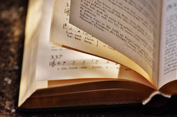 什么专业就业前景好