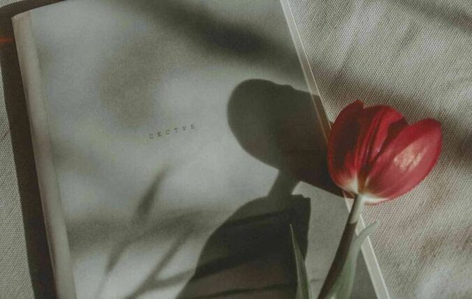 四川师范大学研究生报录比(四川师范大学研究生报录比是什么)