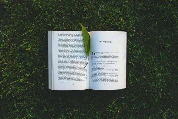 教育部职业教育与成人教育司的人员设置